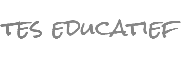 teseducatief
